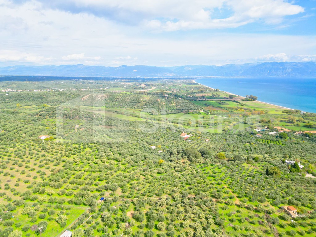 Αγροτεμάχια 15.600 τ.μ. προς πώληση, Πεταλίδι Μεσσηνίας
