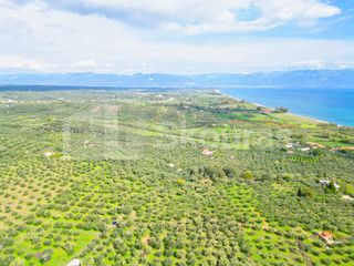 Αγροτεμάχια 15.600 τ.μ. προς πώληση, Πεταλίδι Μεσσηνίας-thumb-3