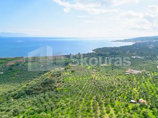 Αγροτεμάχια 15.600 τ.μ. προς πώληση, Πεταλίδι Μεσσηνίας-thumb-10
