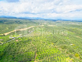 Αγροτεμάχια 15.600 τ.μ. προς πώληση, Πεταλίδι Μεσσηνίας-thumb-6
