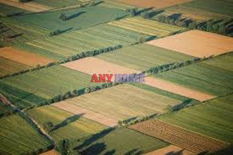 Αγροτεμάχια 2.500τ.μ. για πώληση-Θέρμη » Άνω σχολάρι