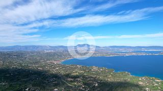 Οικόπεδο 18.302 τ.μ. για πώληση, Αργολίδα, Κρανίδι-thumb-3