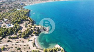 Οικόπεδο 18.302 τ.μ. για πώληση, Αργολίδα, Κρανίδι-thumb-6
