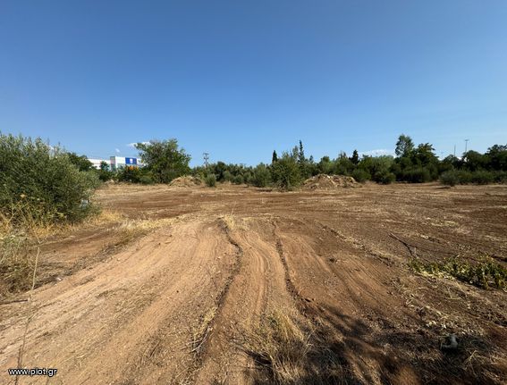Οικόπεδο 7.700 τ.μ. για πώληση, Βοιωτία, Σχηματάρι