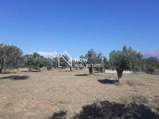Οικόπεδο 14.000 τ.μ. προς πώληση, Ν. Ηρακλείου, Τυμπάκι-thumb-8
