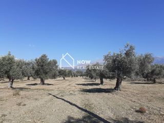 Οικόπεδο 14.000 τ.μ. προς πώληση, Ν. Ηρακλείου, Τυμπάκι-thumb-10