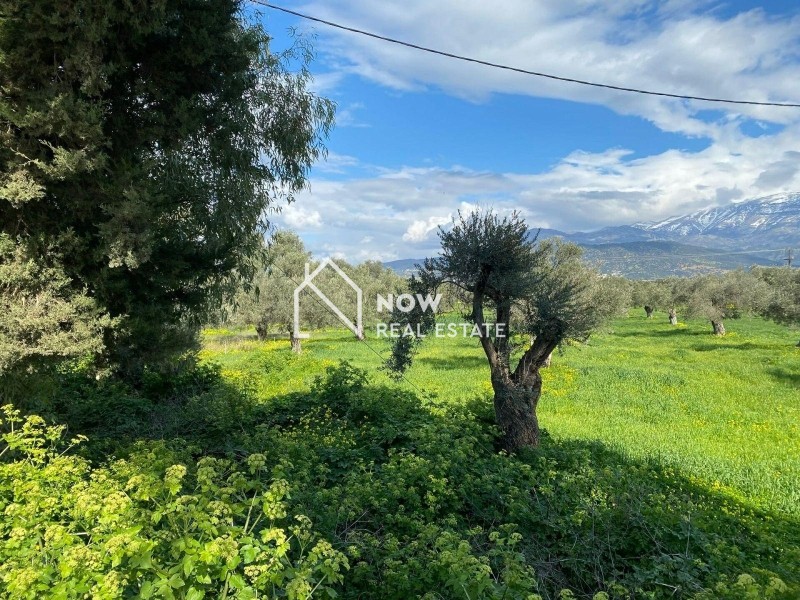 Οικόπεδο 14.000 τ.μ. προς πώληση, Ν. Ηρακλείου, Τυμπάκι