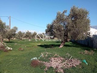 Οικόπεδο 14.000 τ.μ. προς πώληση, Ν. Ηρακλείου, Τυμπάκι-thumb-6