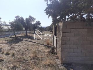 Οικόπεδο 14.000 τ.μ. προς πώληση, Ν. Ηρακλείου, Τυμπάκι-thumb-12