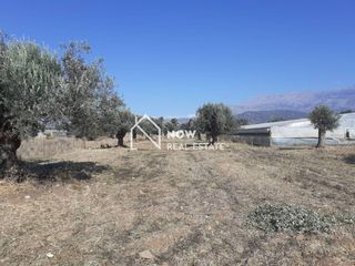 Οικόπεδο 14.000 τ.μ. προς πώληση, Ν. Ηρακλείου, Τυμπάκι-thumb-7