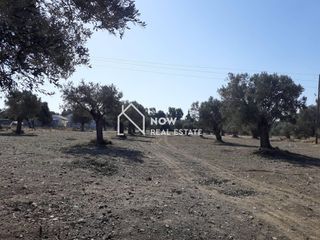 Οικόπεδο 14.000 τ.μ. προς πώληση, Ν. Ηρακλείου, Τυμπάκι-thumb-11