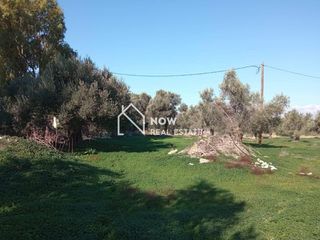 Οικόπεδο 14.000 τ.μ. προς πώληση, Ν. Ηρακλείου, Τυμπάκι-thumb-3