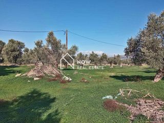 Οικόπεδο 14.000 τ.μ. προς πώληση, Ν. Ηρακλείου, Τυμπάκι-thumb-5