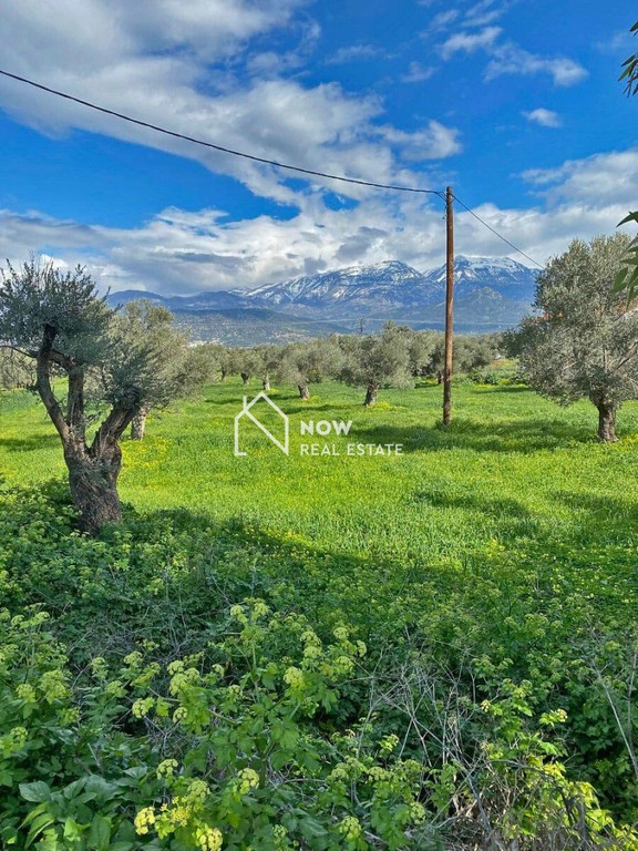 Οικόπεδο 14.000 τ.μ. προς πώληση, Ν. Ηρακλείου, Τυμπάκι