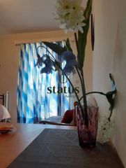 Studio / γκαρσονιέρα 31 τ.μ. για ενοικίαση, Αχαΐα, Πάτρα-thumb-6