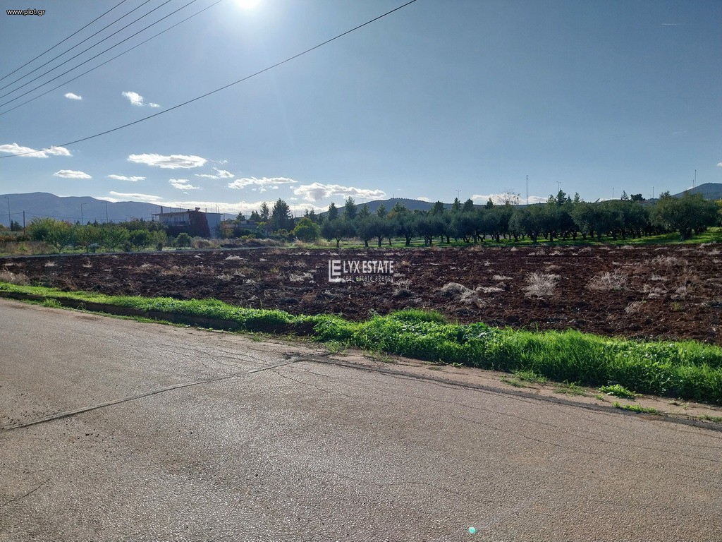 Οικόπεδο 1.034 τ.μ. πρός πώληση, Φθιώτιδας, Δαφνούσες