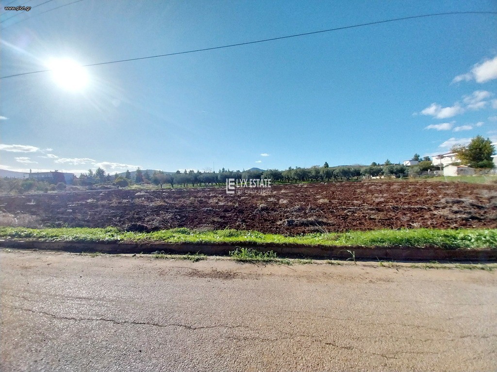 Οικόπεδο 1.034 τ.μ. πρός πώληση, Φθιώτιδας, Δαφνούσες