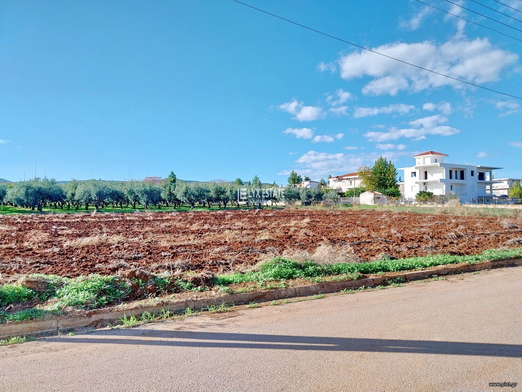 Οικόπεδο 1.034 τ.μ. πρός πώληση, Φθιώτιδας, Δαφνούσες