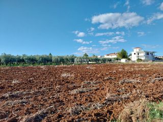Οικόπεδο 1.034 τ.μ. για πώληση, Φθιώτιδας, Δαφνούσες-thumb-5
