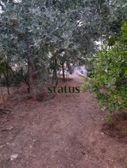 Μονοκατοικία 250 τ.μ. για πώληση, Αχαΐα, Μεσσατίδα-thumb-8