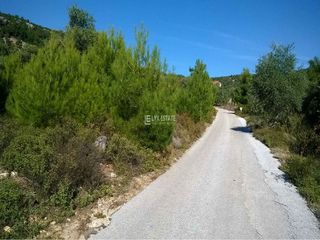 Οικόπεδο 5.055 τ.μ. για πώληση, Ν. Καβάλας, Θάσος-thumb-1