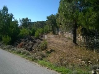 Οικόπεδο 5.055 τ.μ. για πώληση, Ν. Καβάλας, Θάσος-thumb-2