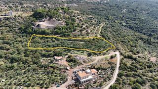 Οικόπεδο 6.000 τ.μ. για πώληση, Μεσσηνία, Λεύκτρος-thumb-1