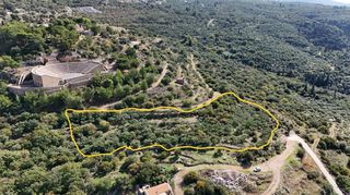 Οικόπεδο 6.000 τ.μ. για πώληση, Μεσσηνία, Λεύκτρος-thumb-2