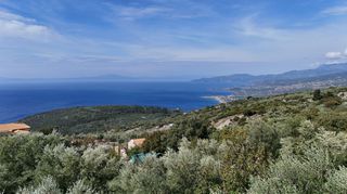 Οικόπεδο 6.000 τ.μ. για πώληση, Μεσσηνία, Λεύκτρος-thumb-5