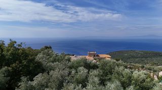 Οικόπεδο 6.000 τ.μ. για πώληση, Μεσσηνία, Λεύκτρος-thumb-7