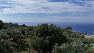 Οικόπεδο 6.000 τ.μ. για πώληση, Μεσσηνία, Λεύκτρος-thumb-8