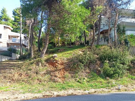 Land plot 800 sqm for sale