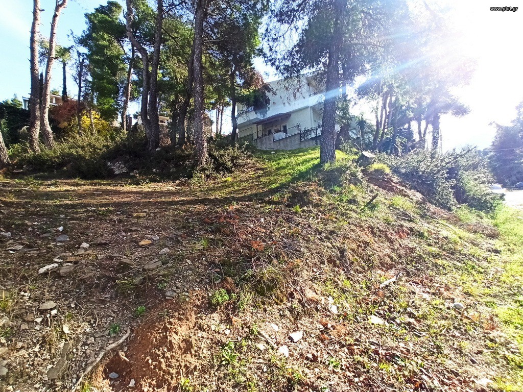 Οικόπεδο 800 τ.μ. πρός πώληση, Αθήνα - Βόρεια Προάστια, Σταμάτα