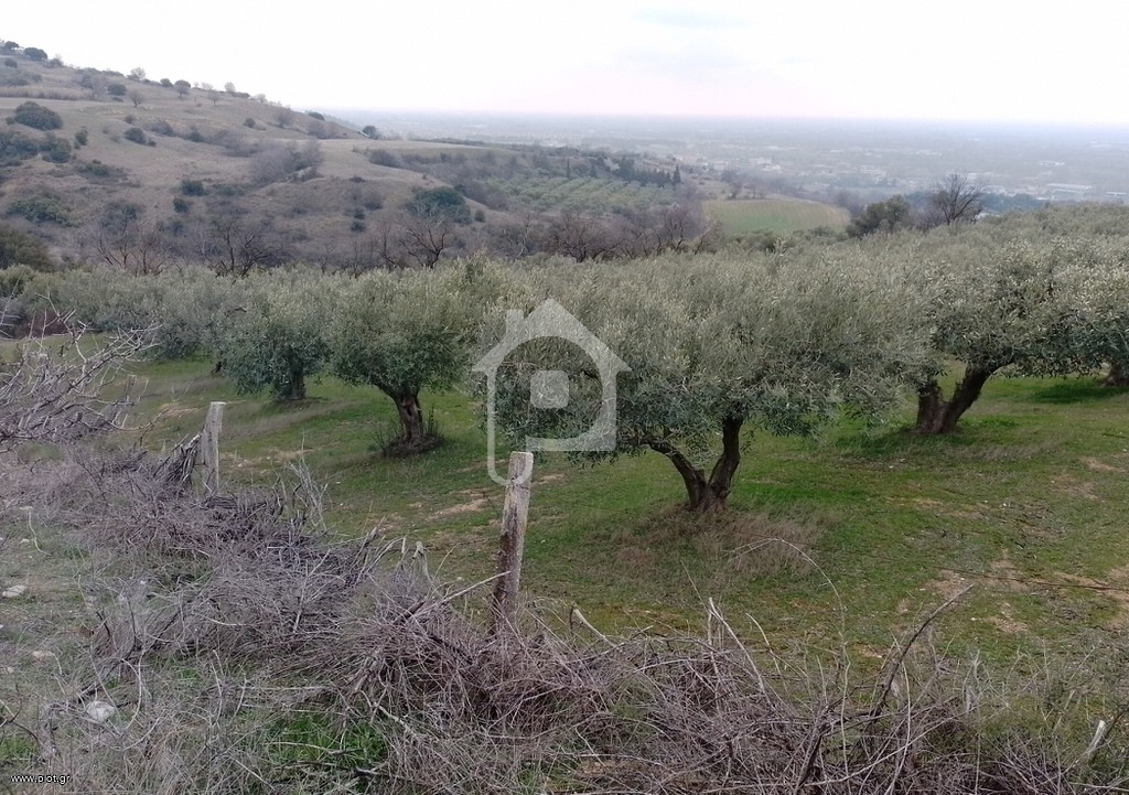 Αγροτεμάχια 7.500 τ.μ. πρός πώληση, Ν. Σερρών, Σέρρες