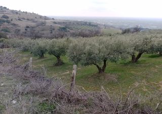 Αγροτεμάχια 7.500 τ.μ. για πώληση