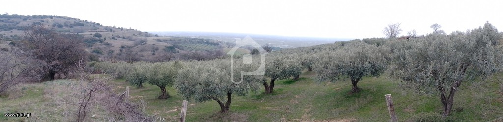 Αγροτεμάχια 7.500 τ.μ. πρός πώληση, Ν. Σερρών, Σέρρες