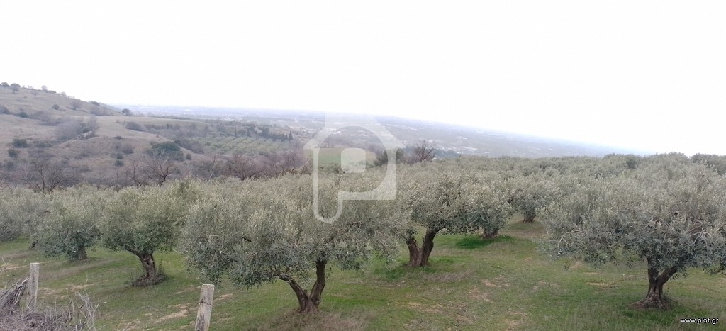 Αγροτεμάχια 7.500 τ.μ. πρός πώληση, Ν. Σερρών, Σέρρες