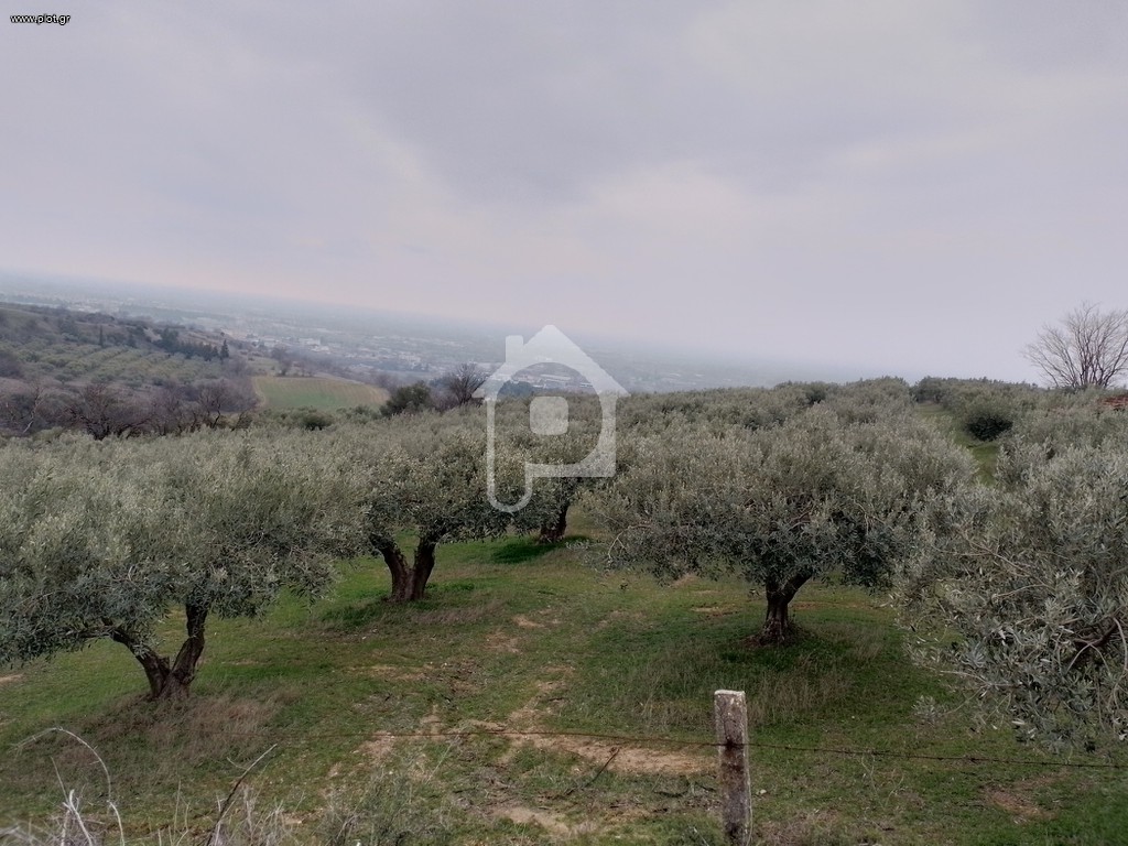 Αγροτεμάχια 7.500 τ.μ. πρός πώληση, Ν. Σερρών, Σέρρες