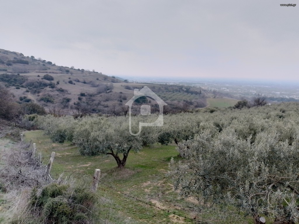 Αγροτεμάχια 7.500 τ.μ. πρός πώληση, Ν. Σερρών, Σέρρες