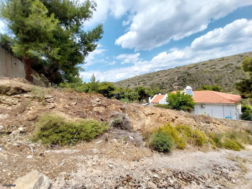 Οικόπεδο 721 τ.μ. πρός πώληση, Αττική - Υπόλοιπο, Ραφήνα