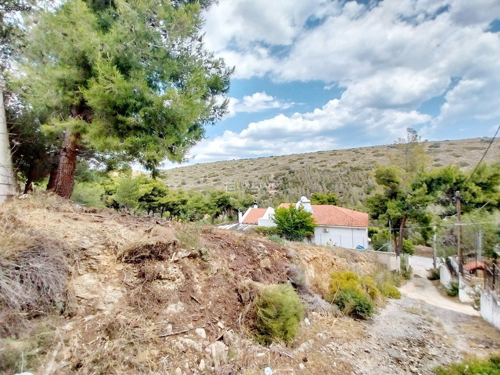 Οικόπεδο 721 τ.μ. πρός πώληση, Αττική - Υπόλοιπο, Ραφήνα