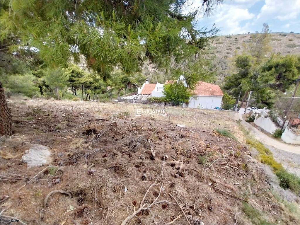 Οικόπεδο 721 τ.μ. πρός πώληση, Αττική - Υπόλοιπο, Ραφήνα
