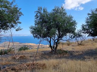 Οικόπεδο 1.076 τ.μ. για πώληση, Ν. Ρεθύμνου, Λάμπη-thumb-4