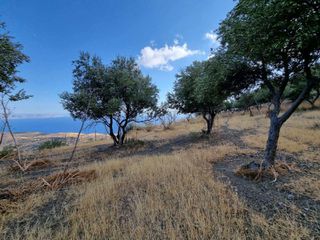 Οικόπεδο 1.076 τ.μ. για πώληση, Ν. Ρεθύμνου, Λάμπη-thumb-5