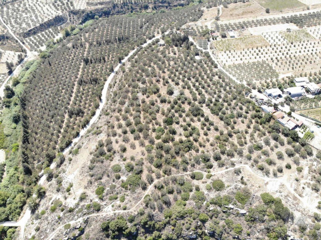 Αγροτεμάχια 97.000 τ.μ. προς πώληση, Αϊτάνια