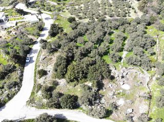 Αγροτεμάχια 1.100 τ.μ. για πώληση, Ν. Ρεθύμνου, Φοινίκας-thumb-1