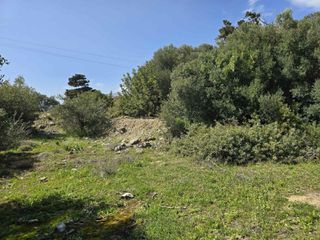 Αγροτεμάχια 1.100 τ.μ. για πώληση, Ν. Ρεθύμνου, Φοινίκας-thumb-8
