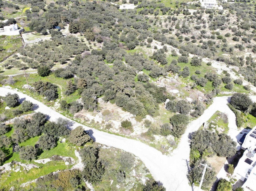 Αγροτεμάχια 1.100 τ.μ. πρός πώληση, Ν. Ρεθύμνου, Φοινίκας