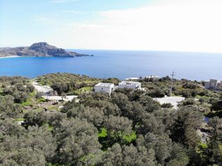 Αγροτεμάχια 1.100 τ.μ. για πώληση, Ν. Ρεθύμνου, Φοινίκας-thumb-6