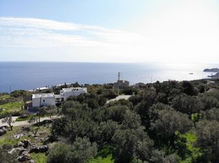 Αγροτεμάχια 1.100 τ.μ. για πώληση, Ν. Ρεθύμνου, Φοινίκας-thumb-9